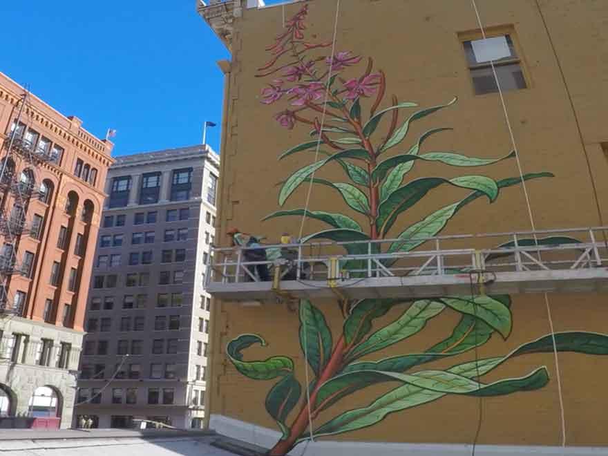 Customer Footage: Fireweed Building Mural Time Lapse