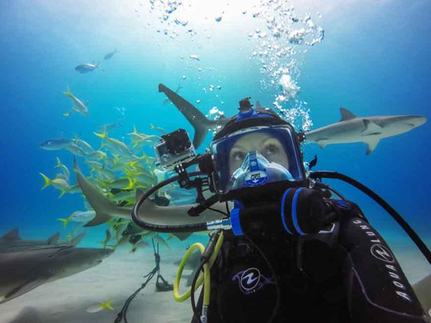 GoPro Uses CamDo Solutions' Underwater WIFI Extension Cable to Livestream Shark Dive via Periscope